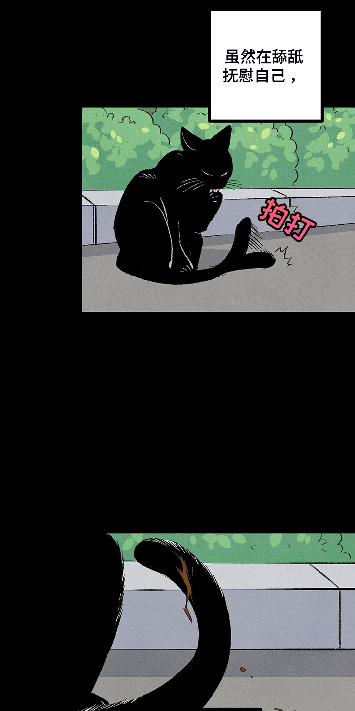 第76章：【第二季】像受伤的猫26