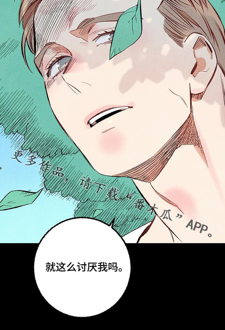第41章：你就这么讨厌我吗14