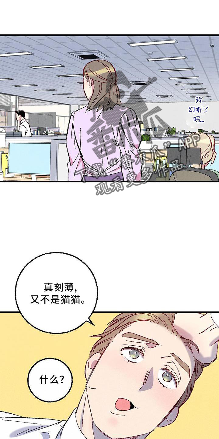 第114章：【第二季】猫猫21