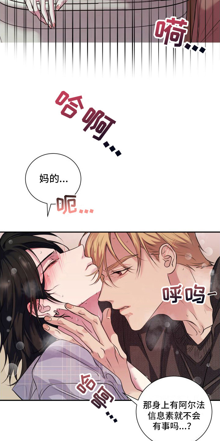 第12章：信息素 6