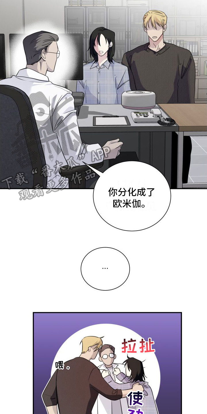 第13章：分化欧米伽 1