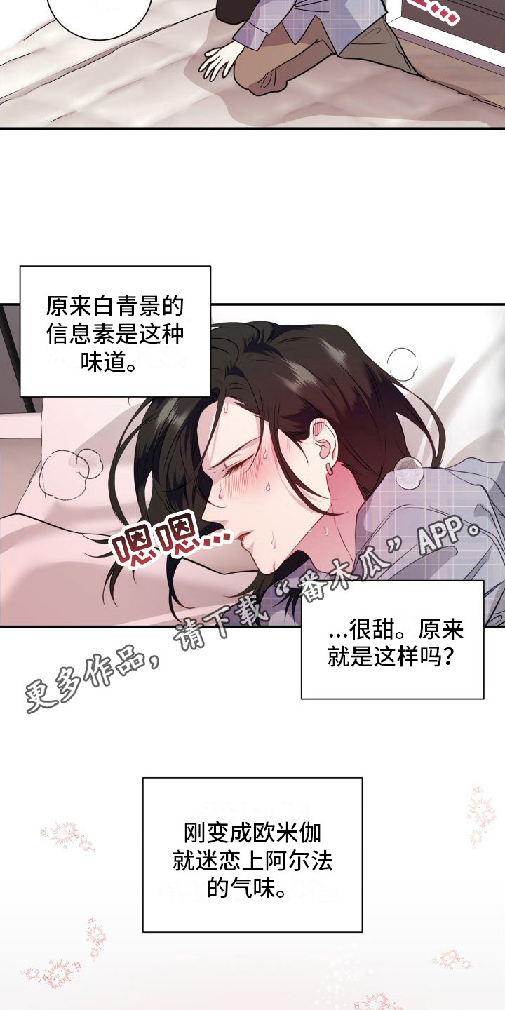 第13章：分化欧米伽 10