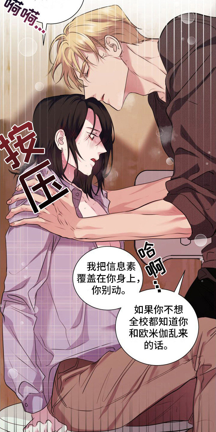 第12章：信息素 5