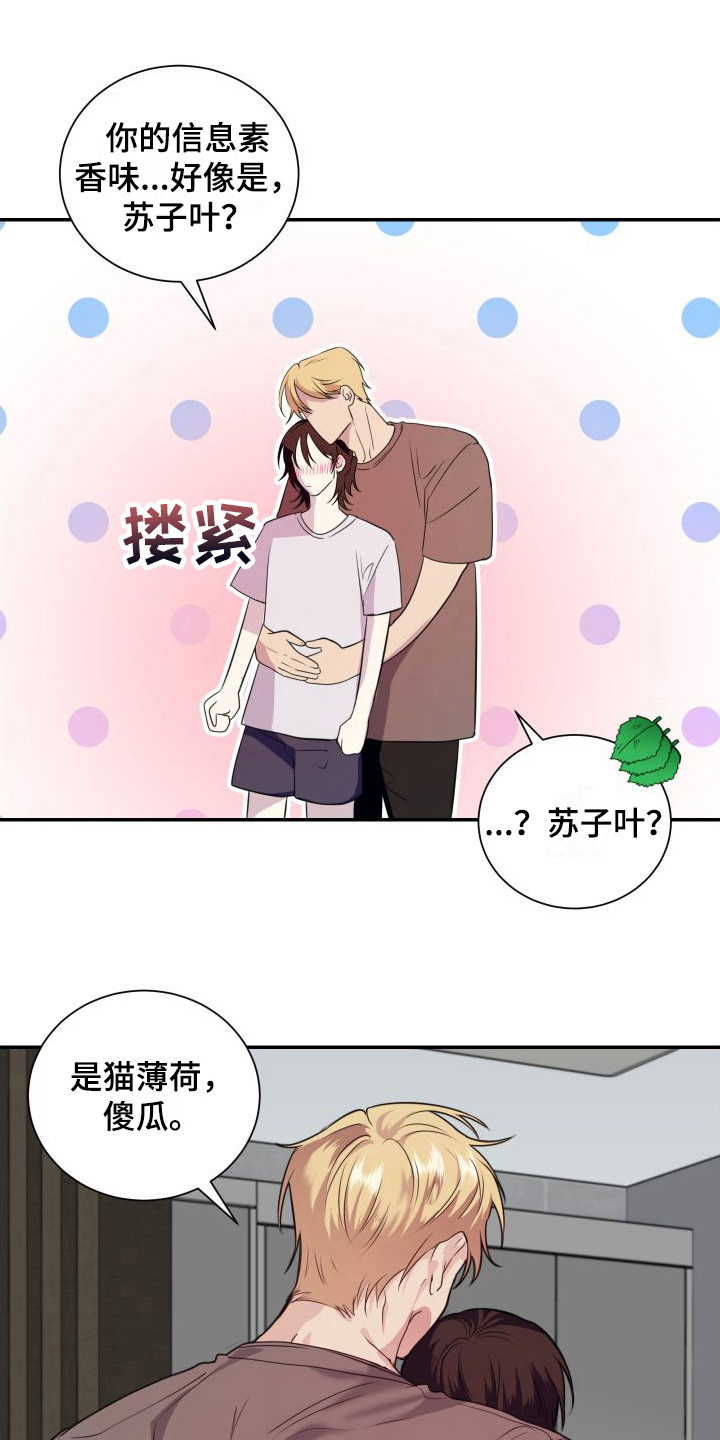 第16章：看着办 0