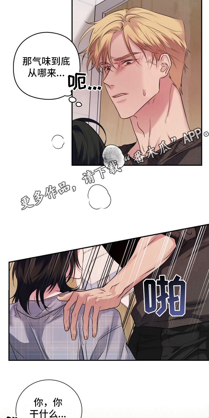 第12章：信息素 4