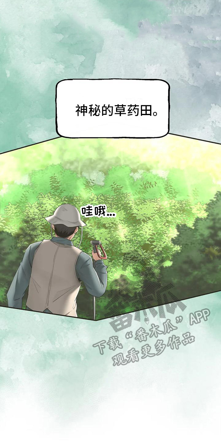 第8章：药材图鉴14
