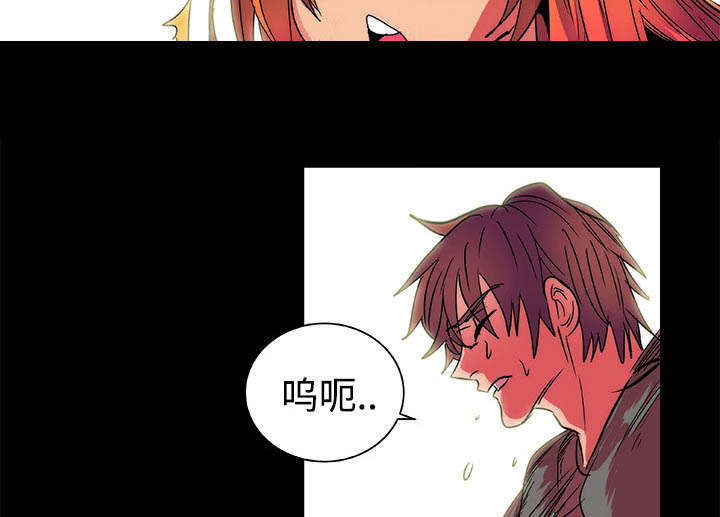 第13章：结果23