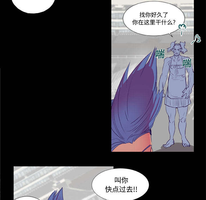 第9章：条约11