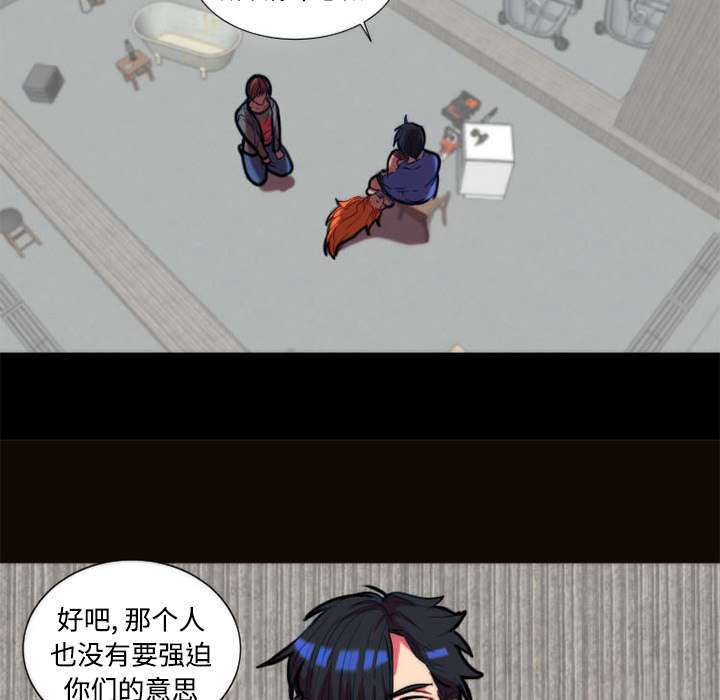 第11章：落下帷幕29