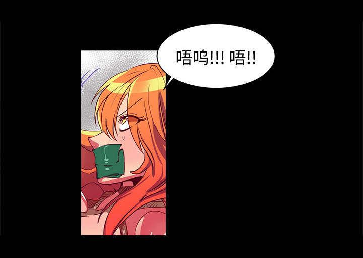 第11章：落下帷幕16