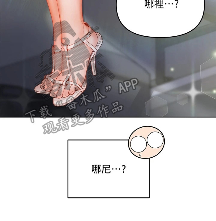 第18章：借口25