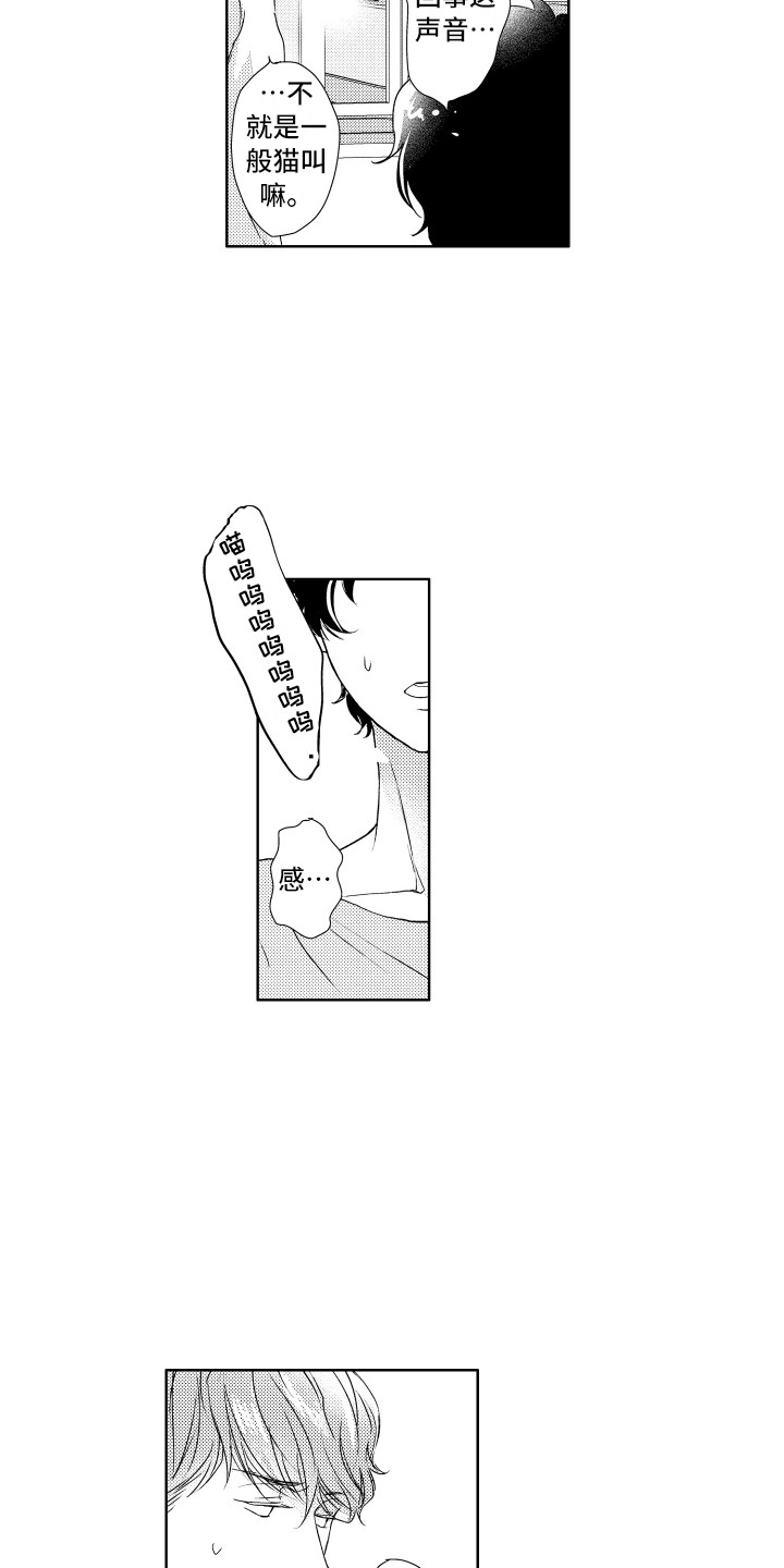 第13章：猫叫声6