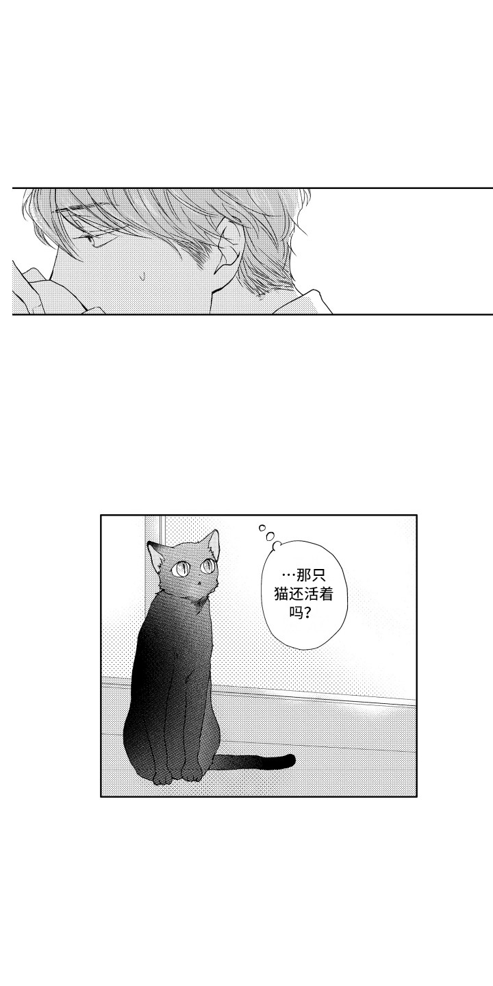 第1章：流浪猫10