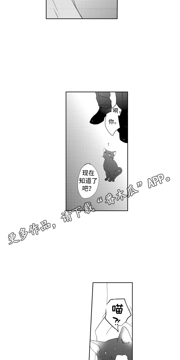 第25章：真面目3