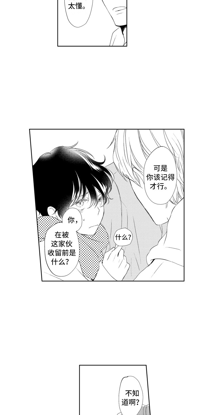 第24章：说话了11