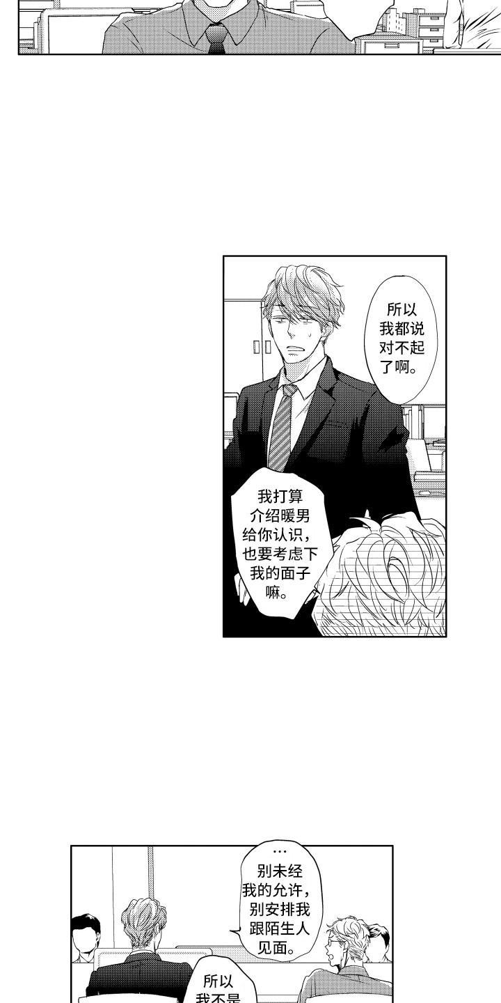 第1章：流浪猫6