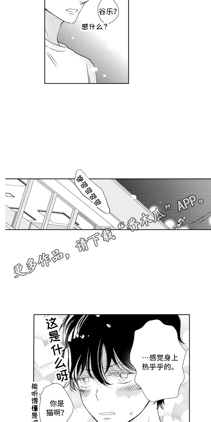 第13章：猫叫声7