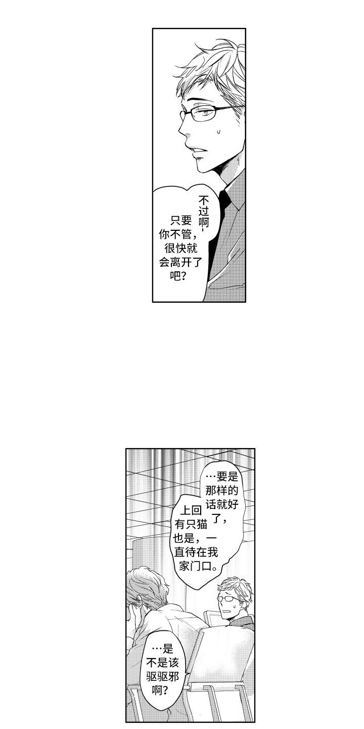第1章：流浪猫9