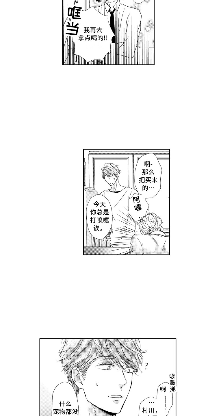 第5章：建议11