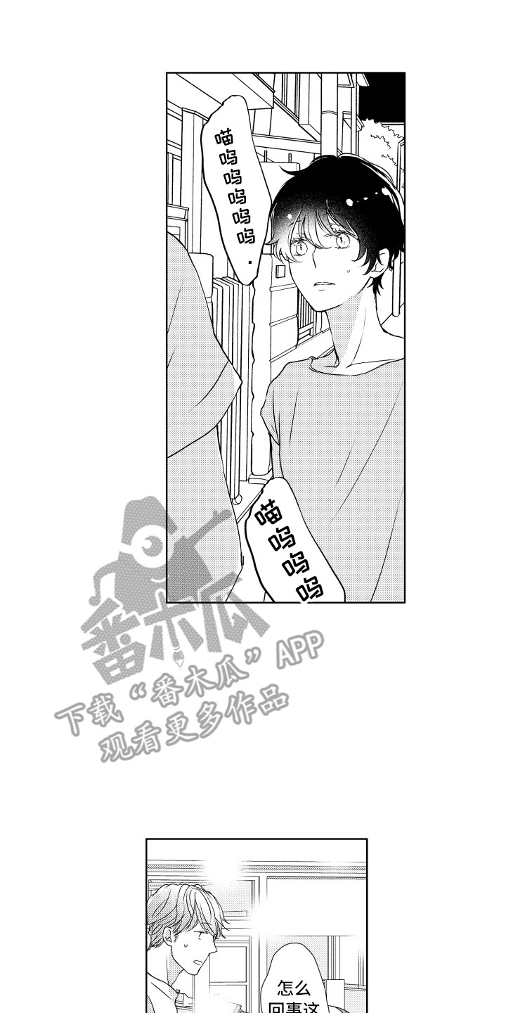 第13章：猫叫声5