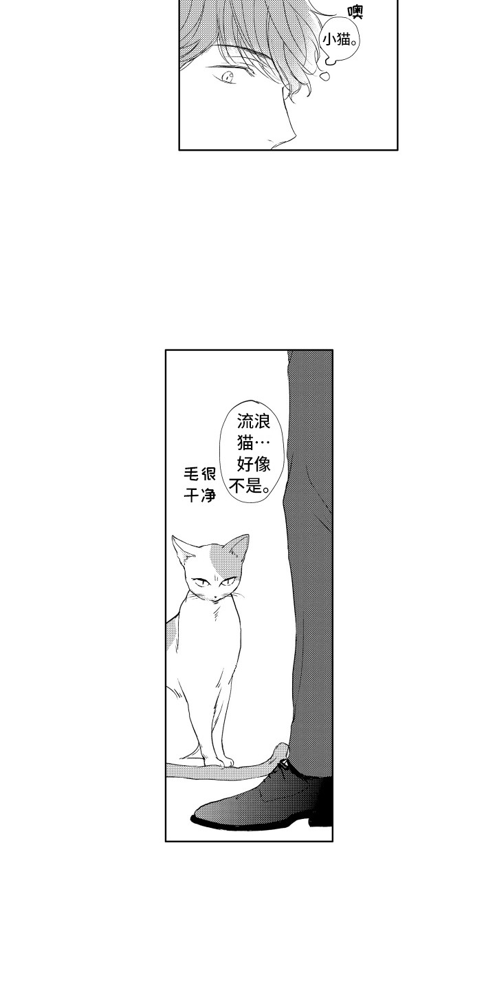 第23章：气味13