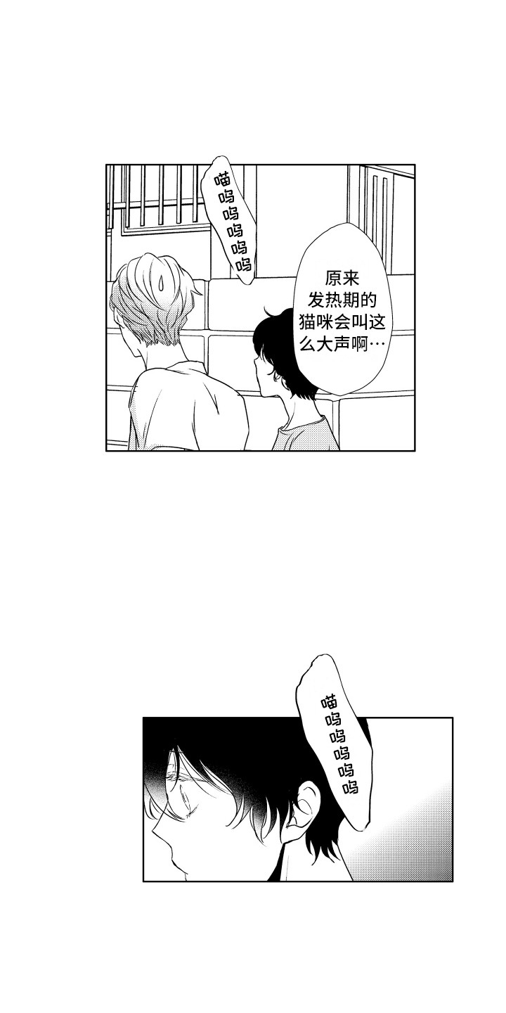 第13章：猫叫声4