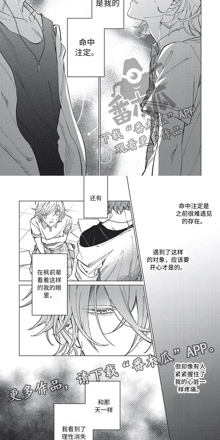第22章：命中注定6