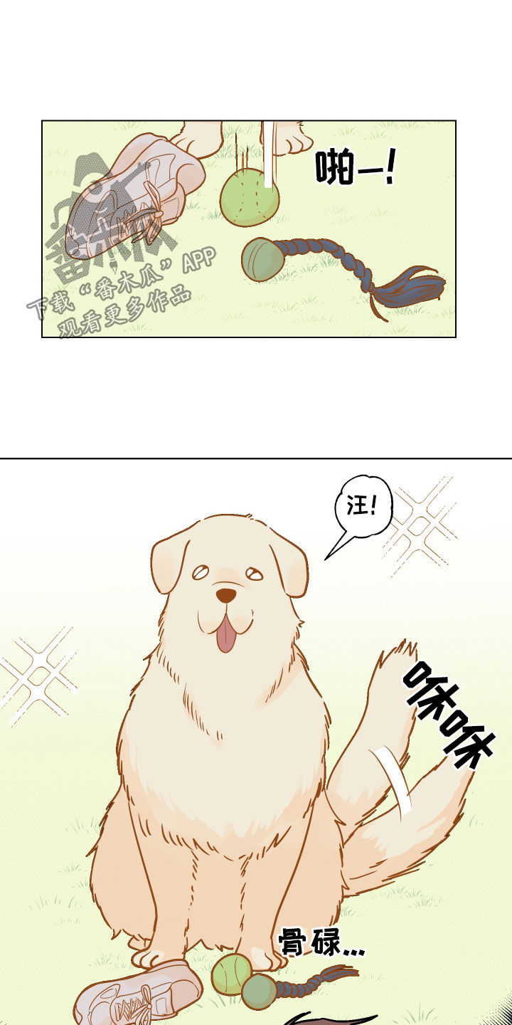 第11章：崎岖6