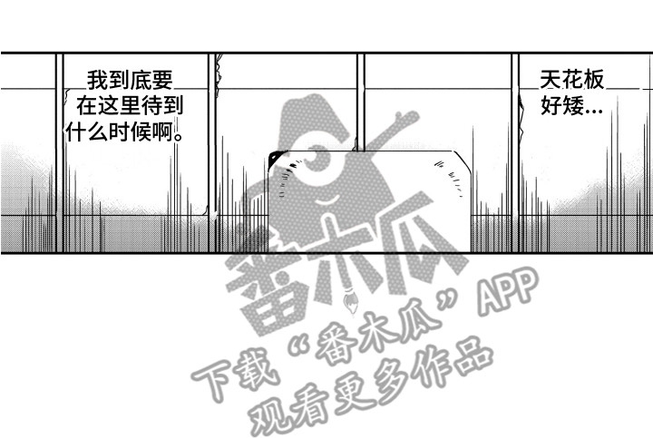 第4章：搬家礼物15