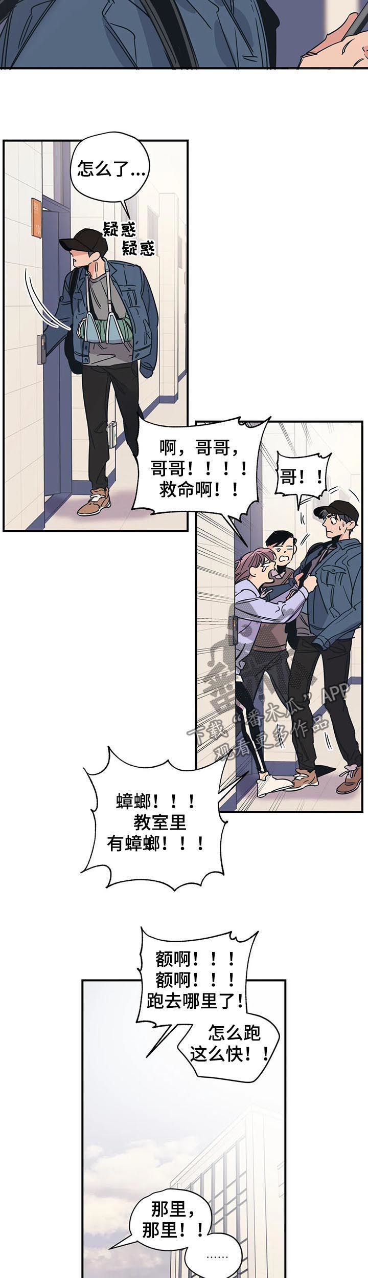 第35章：别莽撞6