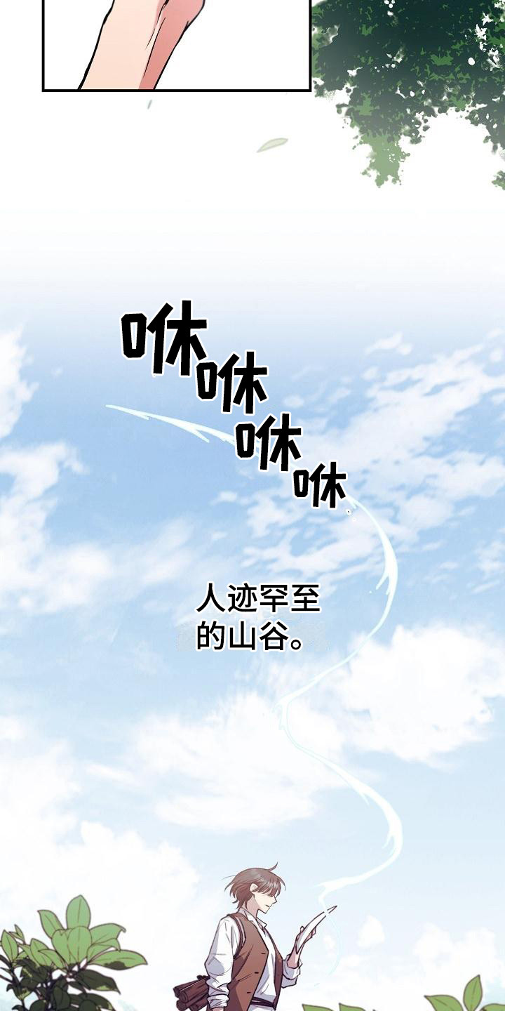 第1章：神奇力量16