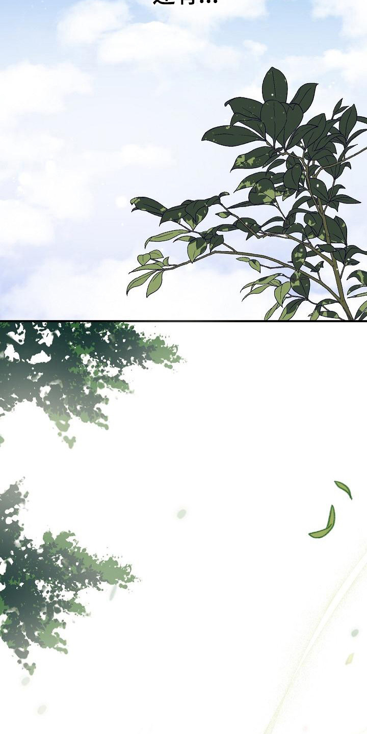 第1章：神奇力量14