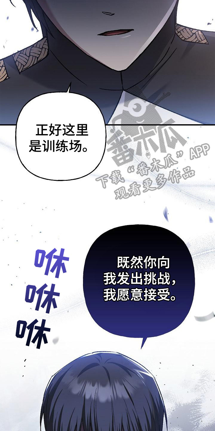 第24章：发出挑战19