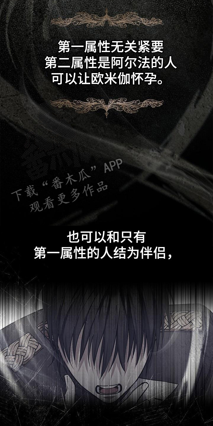 第7章：第二属性17