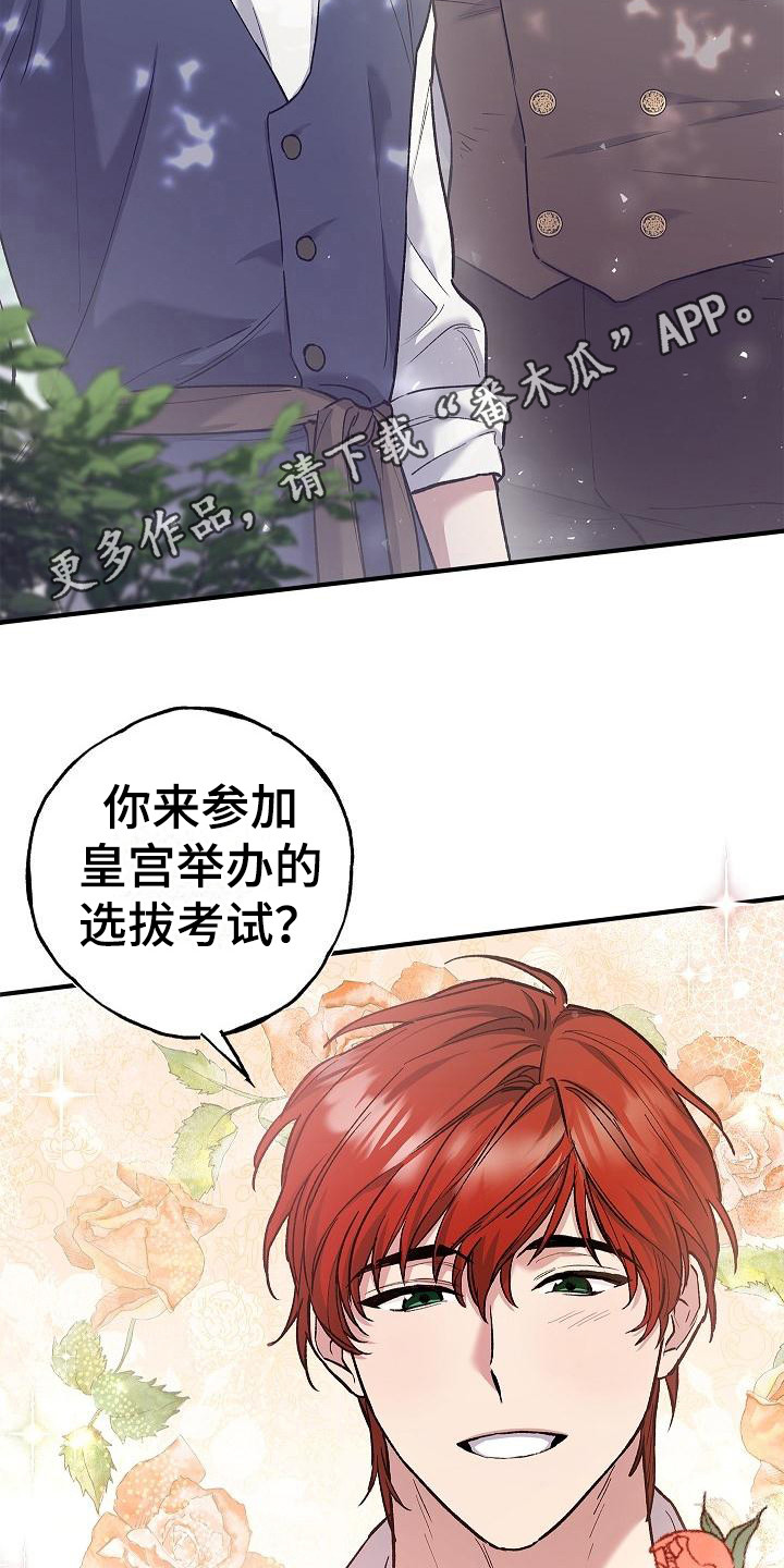 第5章：凯因11