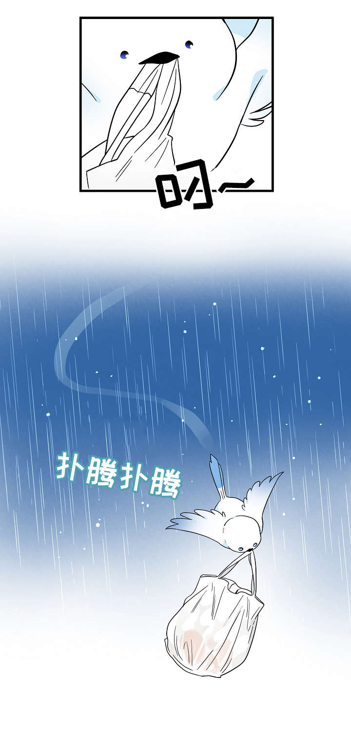 第4章：保护7