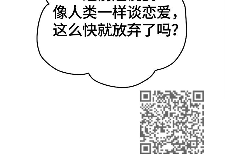 第62章：计划17