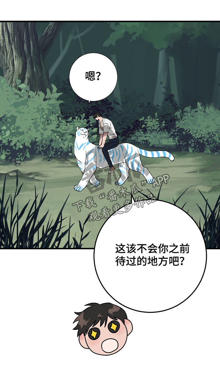 第78章：你才发现20