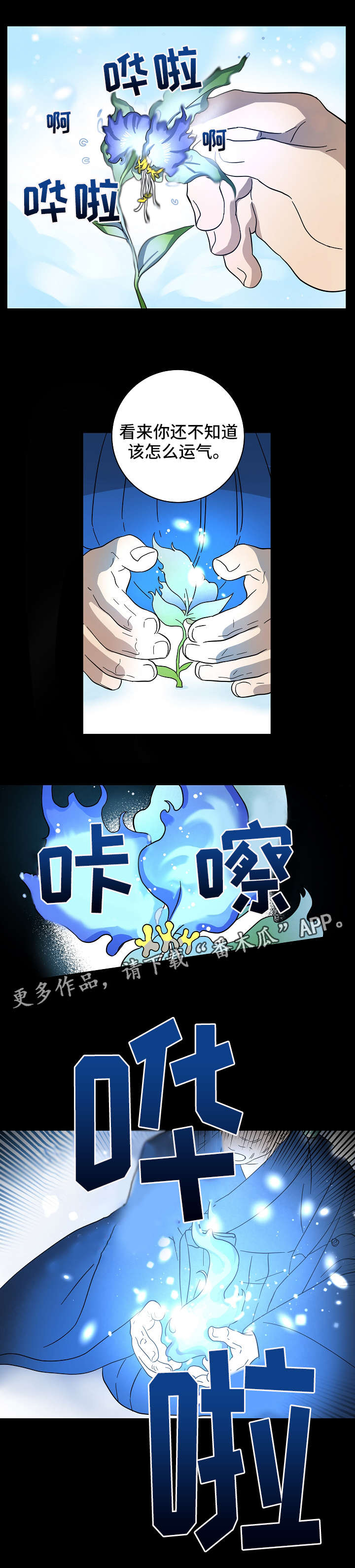 第18章：发芽9