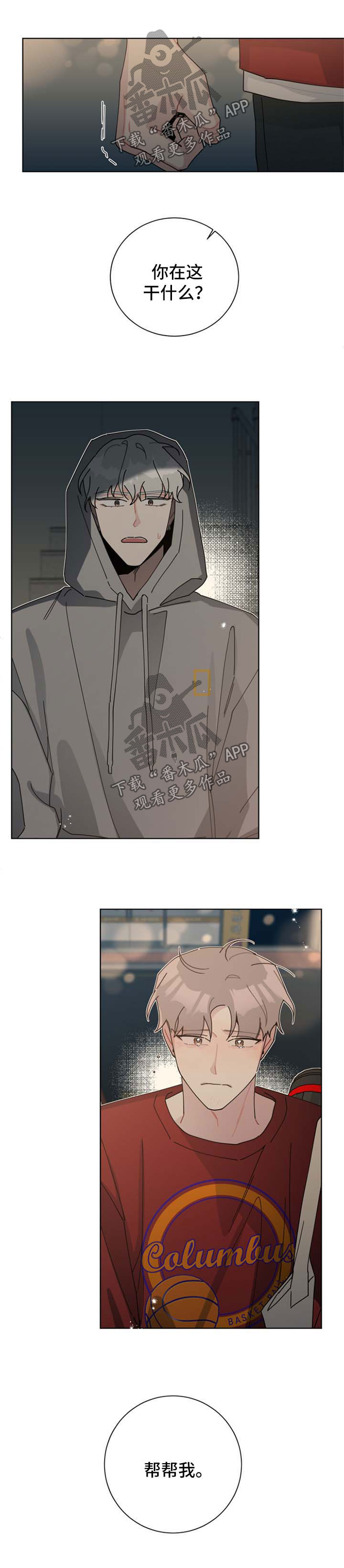 第104章：真相4