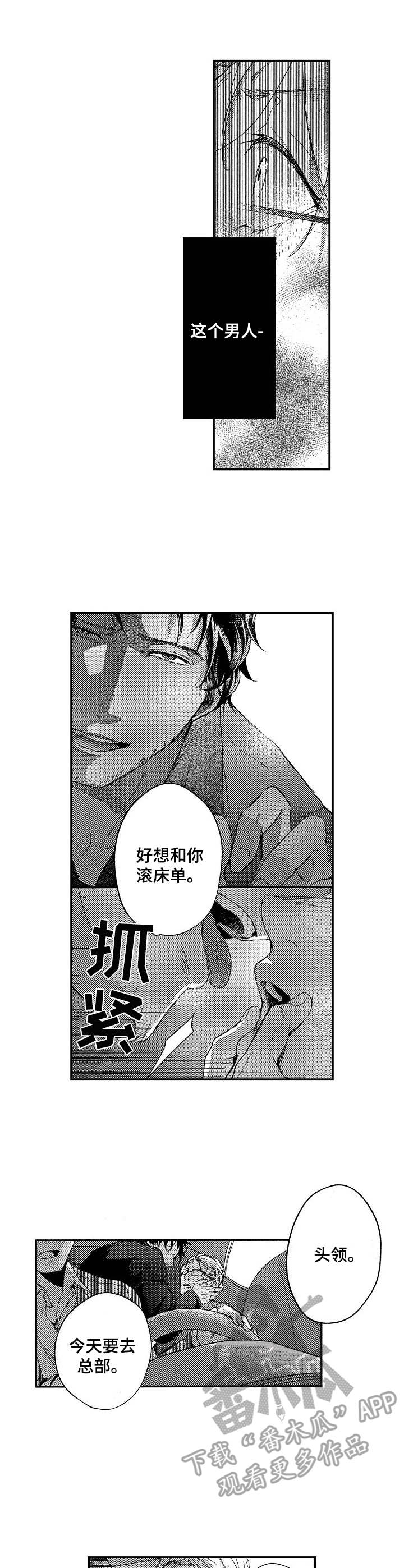 第7章：开心坏了1