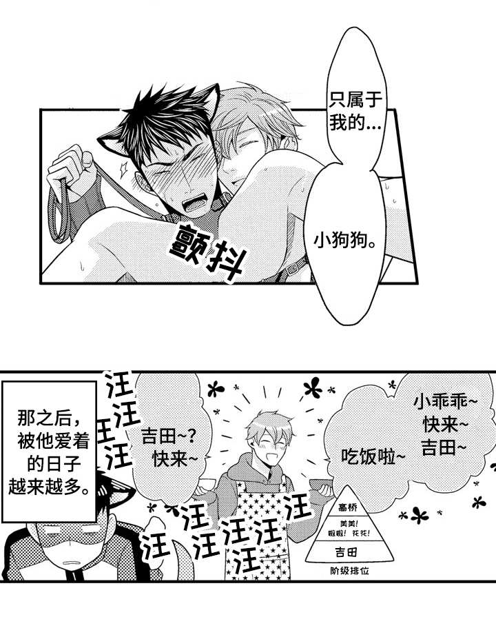 第20章：大胆尝试6