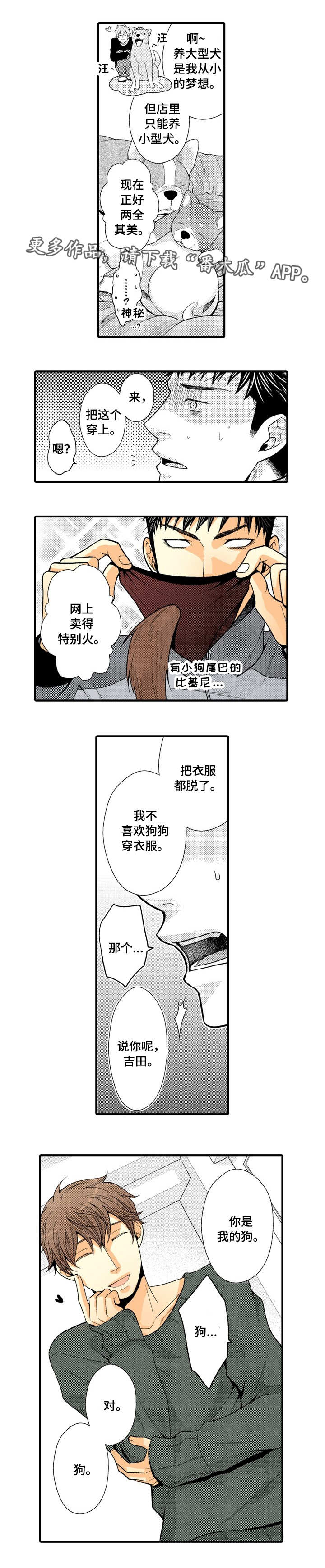 第20章：大胆尝试2