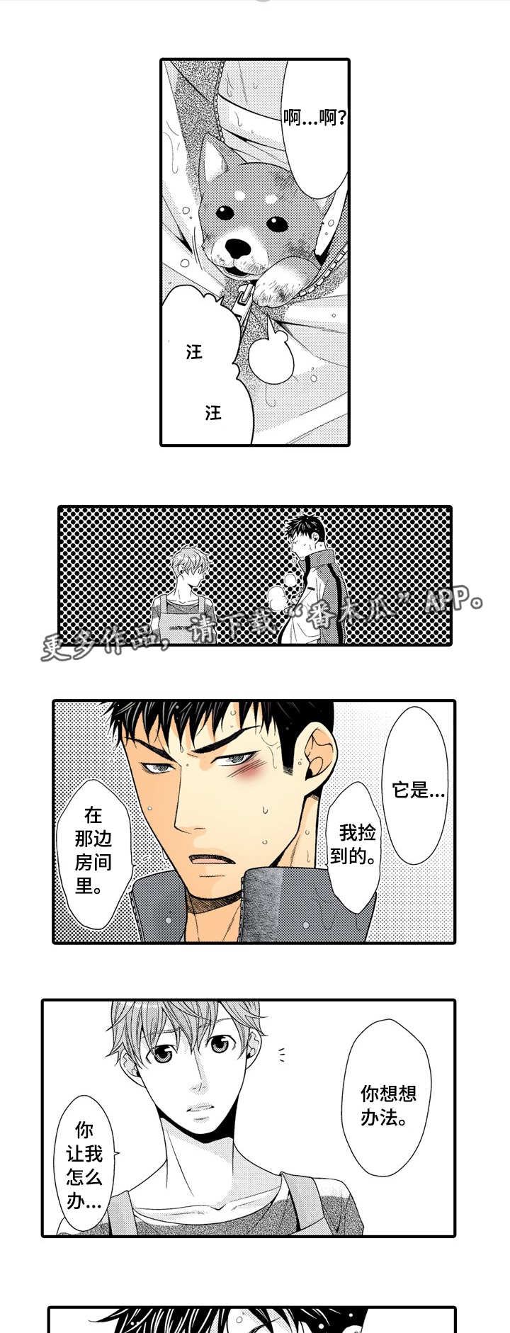 第19章：特殊的客人2
