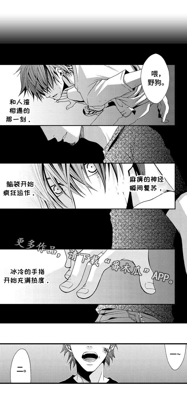 第16章：不同的体验0