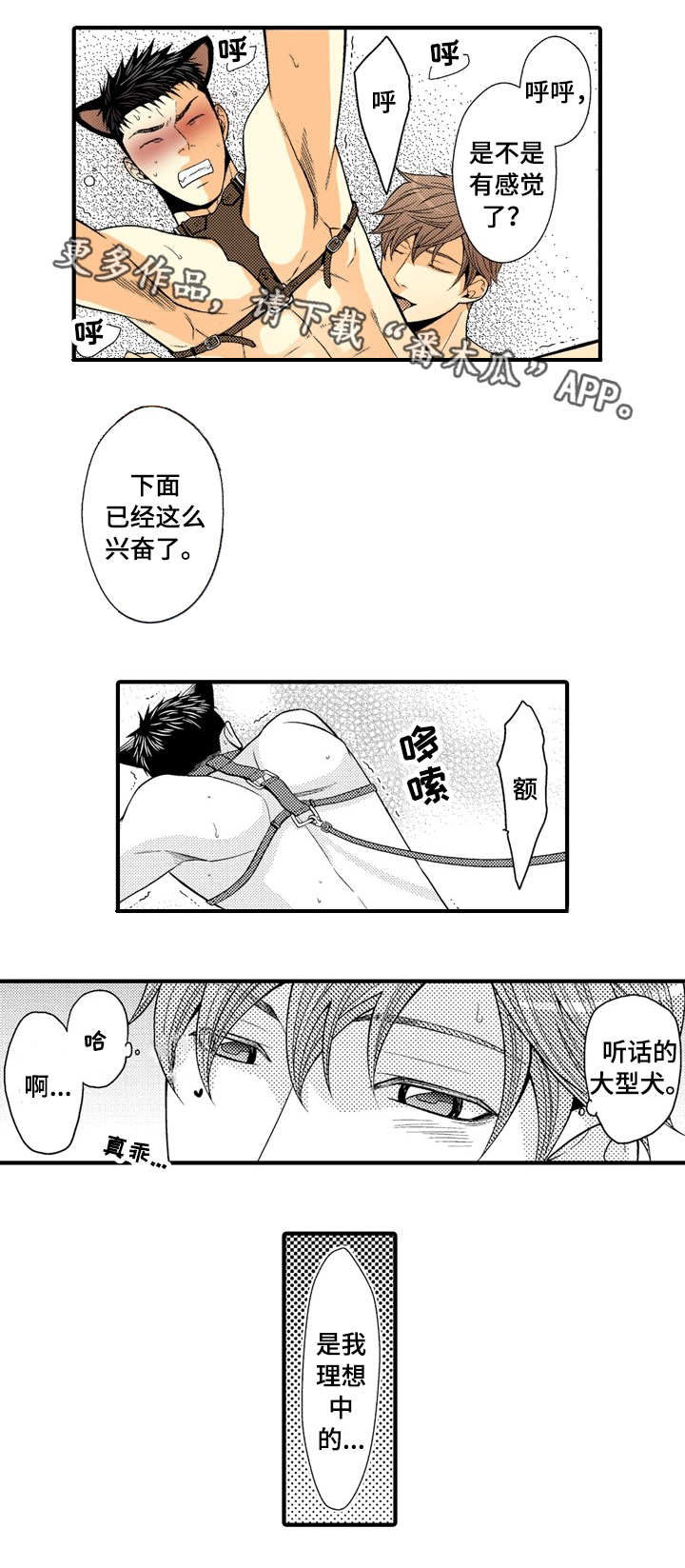 第20章：大胆尝试4