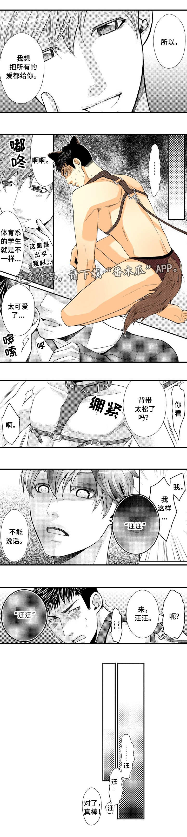 第20章：大胆尝试3