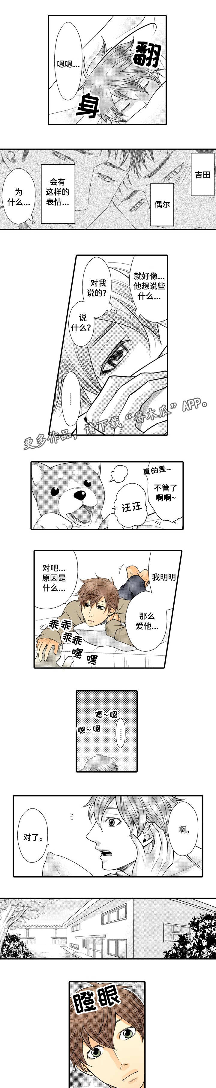 第21章：我的小狗7
