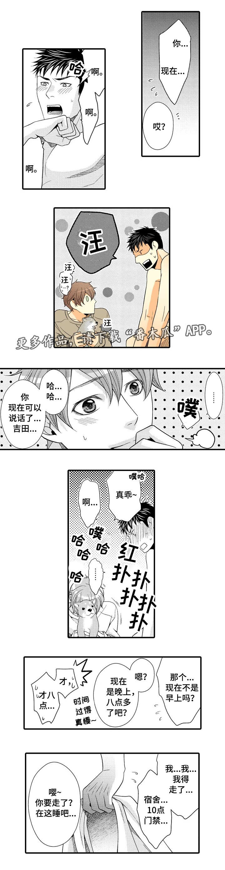 第21章：我的小狗4