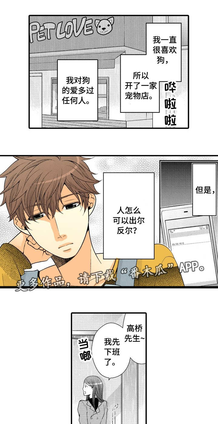 第19章：特殊的客人0